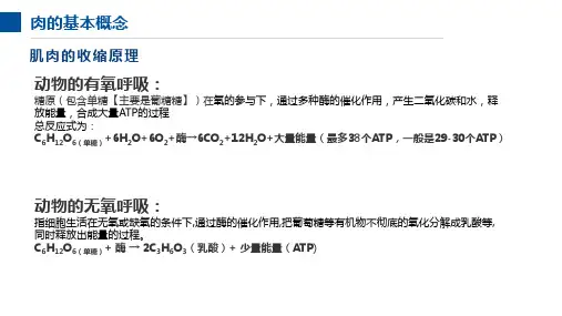 猪肉屠宰后的变化及原理