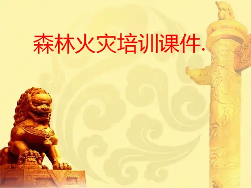森林火灾培训ppt课件
