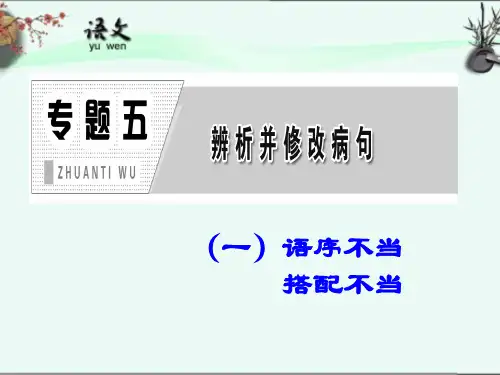 5专题五 辨析并修改病句(一)语序和搭配