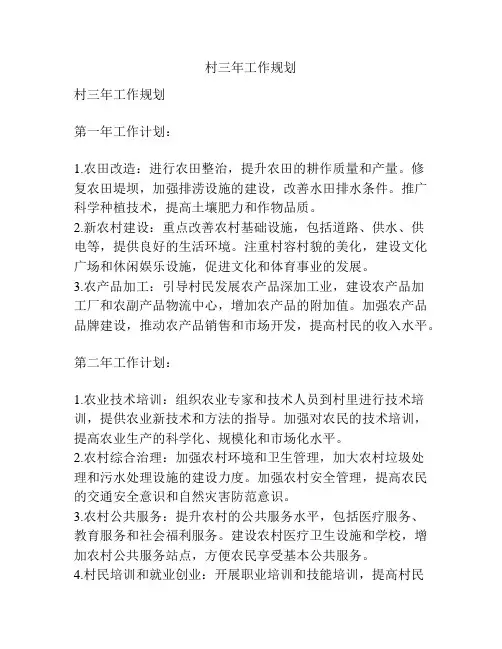 村三年工作规划