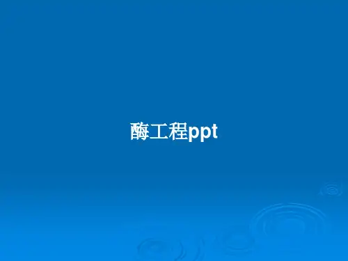 酶工程pptPPT学习教案