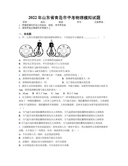 2022年山东省青岛市中考物理模拟试题及解析