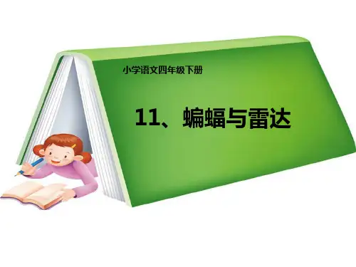 蝙蝠与雷达优秀PPT课件