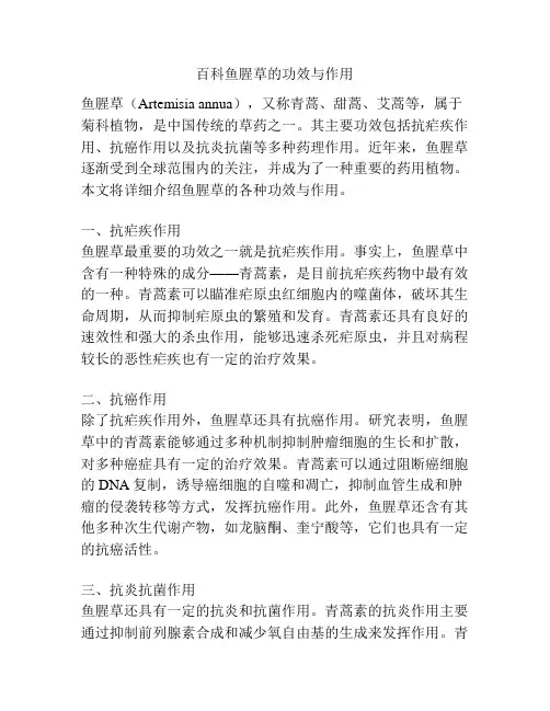 百科鱼腥草的功效与作用