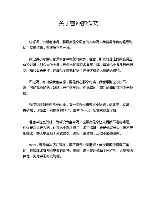 关于曹冲的作文