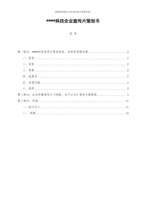 某科技有限公司企业宣传片策划方案