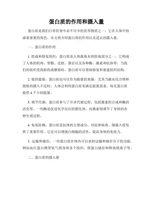 蛋白质的作用和摄入量