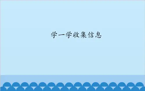学一学收集信息(12张PPT)