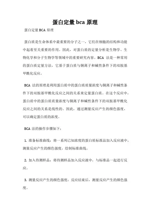 蛋白定量bca原理