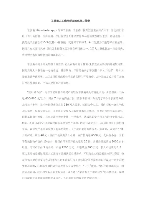 羊肚菌人工栽培研究的现状与前景