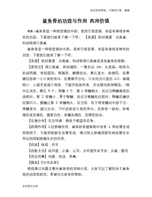 鲨鱼骨的功效与作用 药用价值