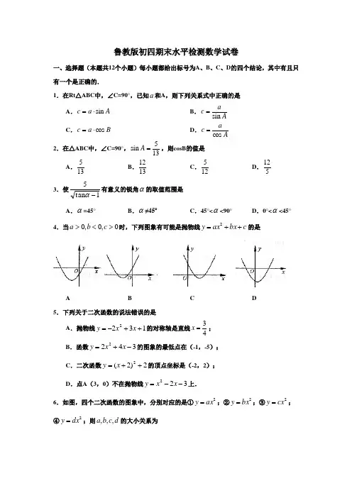 鲁教版初四期末水平检测数学试卷