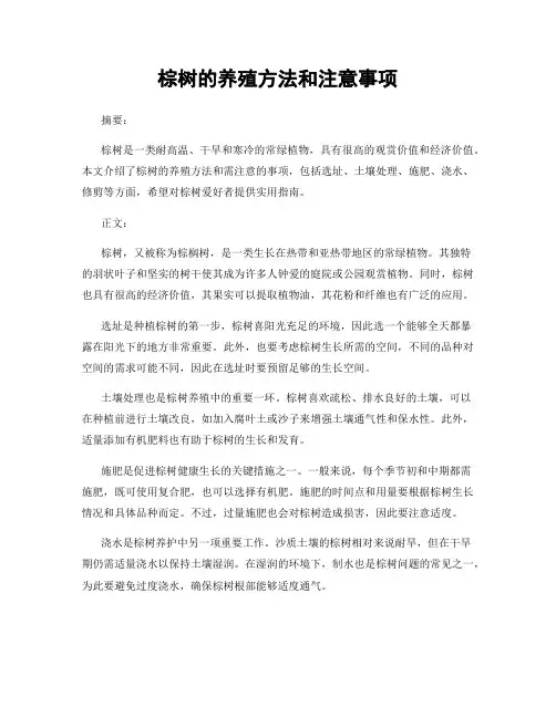 棕树的养殖方法和注意事项