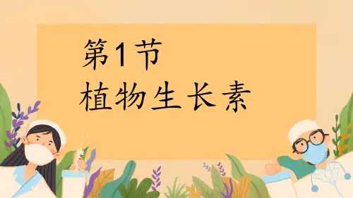 植物生长素ppt课件