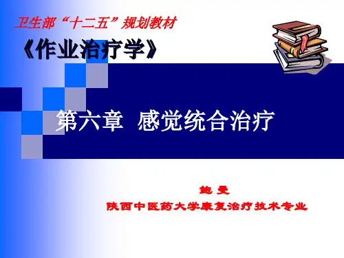 第六章感觉统合治疗