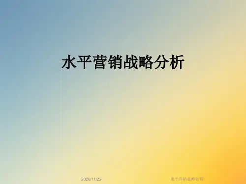 水平营销战略分析