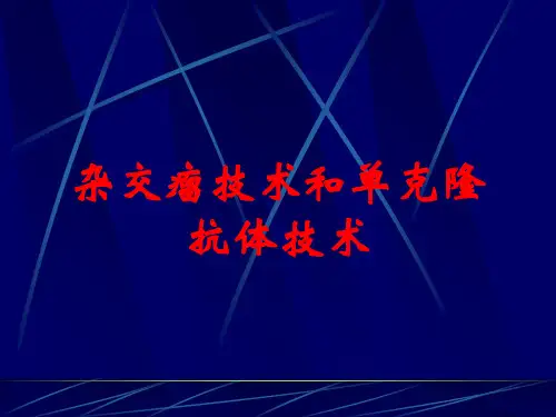 杂交瘤技术和单克隆抗体技术