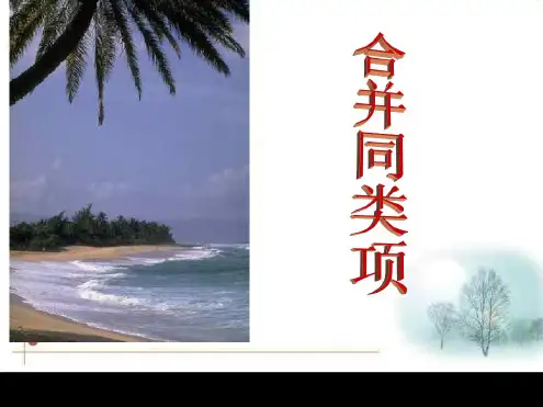 华师版初一数学合并同类项1
