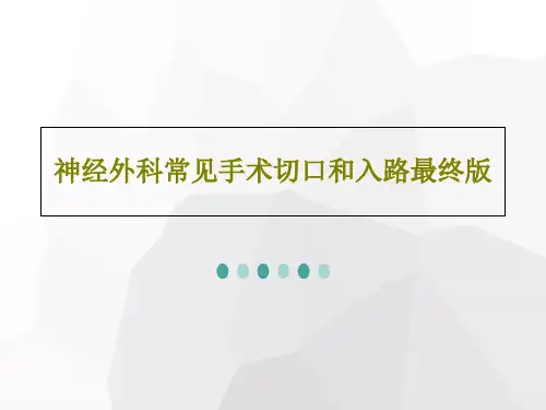 神经外科常见手术切口和入路最终版共155页文档