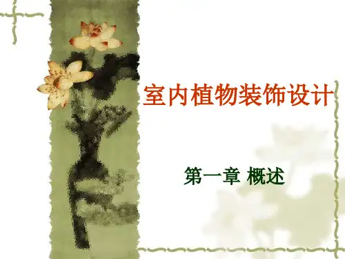 室内植物装饰设计一