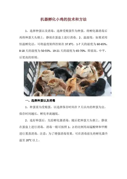 机器孵化小鸡的技术和方法