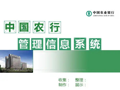 中国农业银行管理信息系统PPT课件