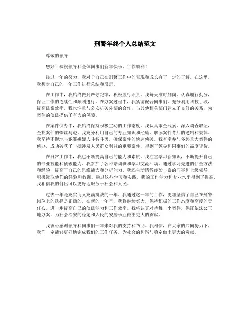 刑警年终个人总结范文