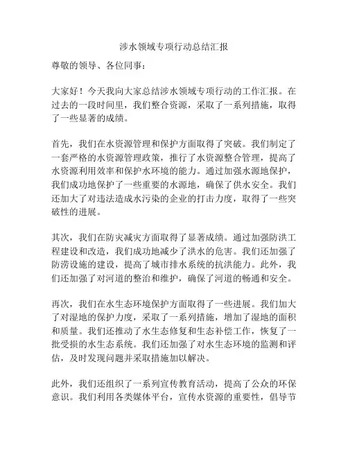 涉水领域专项行动总结汇报