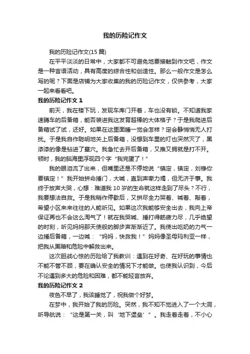 我的历险记作文