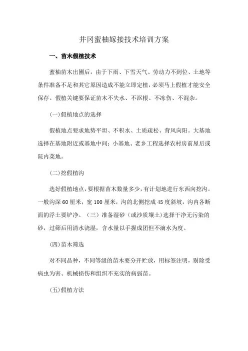 井冈蜜柚嫁接技术培训方案