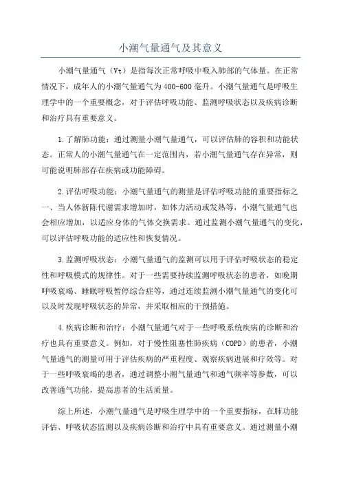 小潮气量通气及其意义