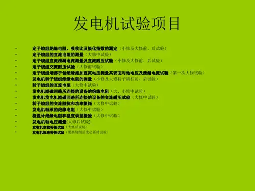 发电机试验项目