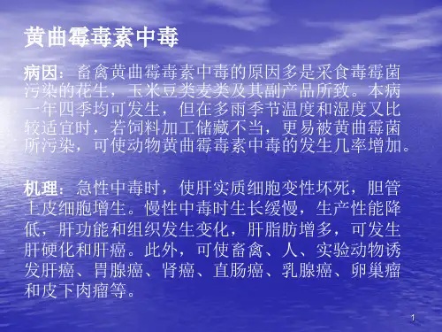 动物黄曲霉毒素中毒症状及防治ppt课件