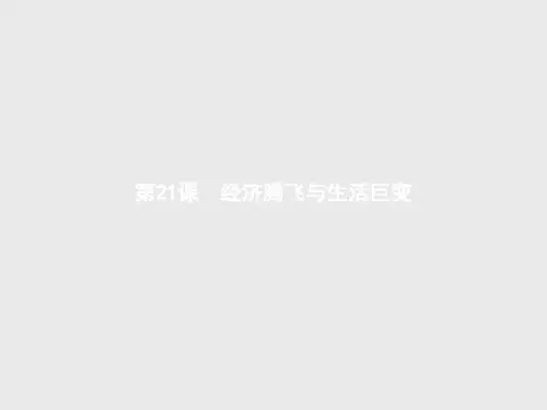 岳麓版 省优精品课件 经济腾飞与生活巨变  PPT
