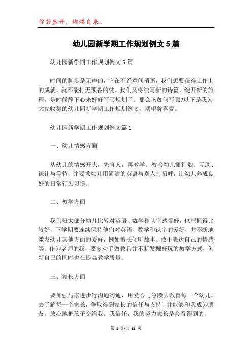 幼儿园新学期工作规划例文5篇