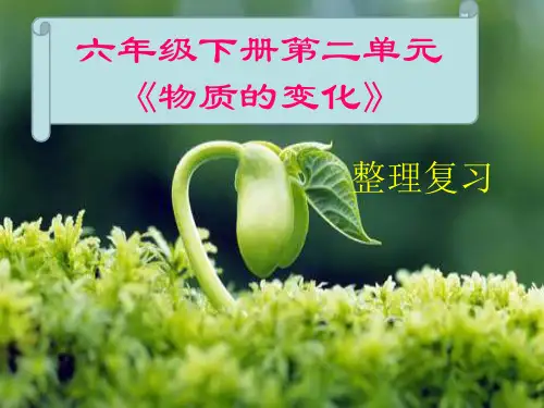 六年级下册科学-第2单元整理与复习-教科版-PPT课堂课件