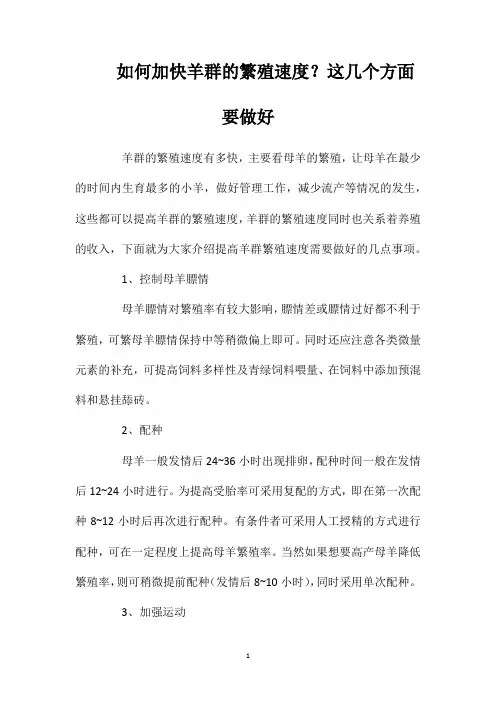 如何加快羊群的繁殖速度？这几个方面要做好