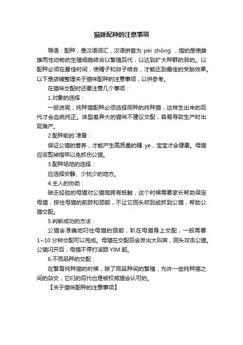 猫咪配种的注意事项