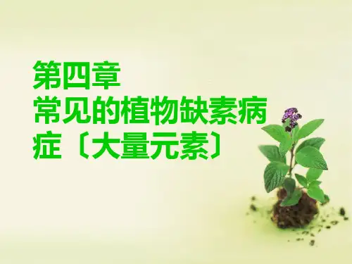常见的植物缺素症状图谱