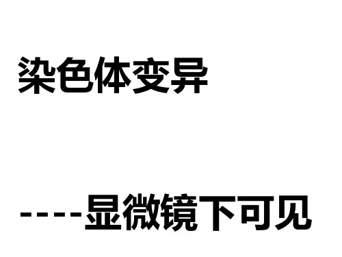 染色体变异一轮复习课件