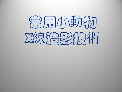 小动物常用造影技术  PPT课件