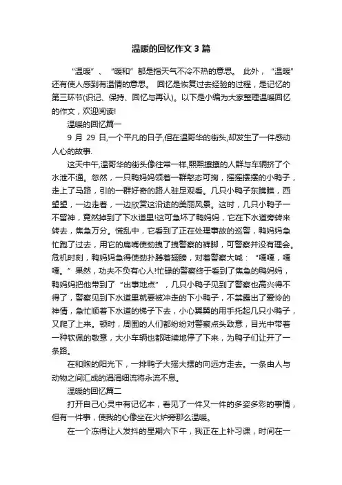 温暖的回忆作文3篇