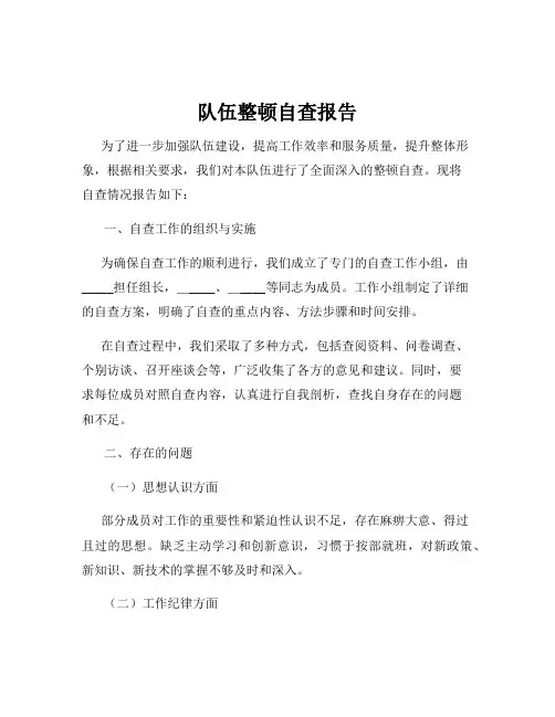 队伍整顿自查报告