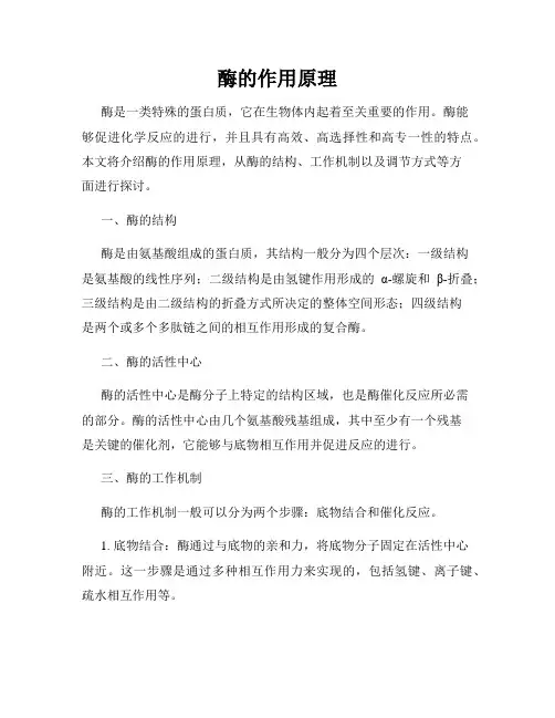 酶的作用原理