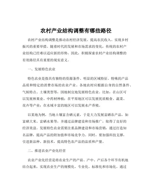 农村产业结构调整有哪些路径