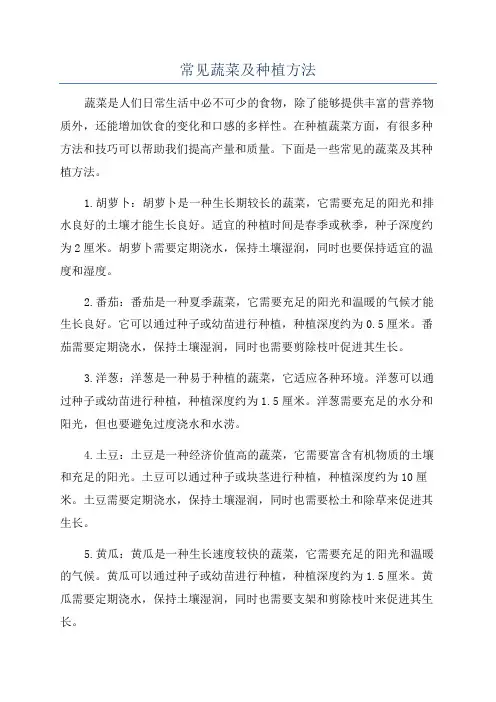 常见蔬菜及种植方法