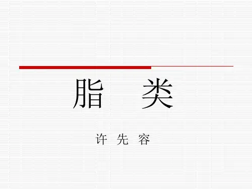 脂类
