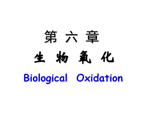生物化学   第六章 生物氧化