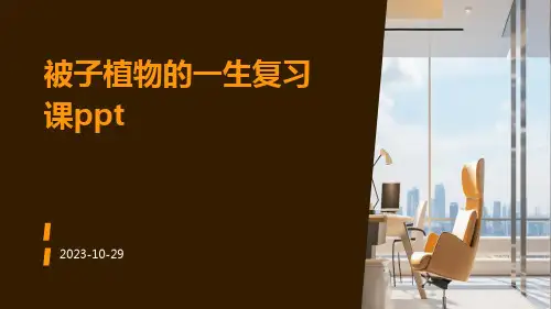 被子植物的一生复习课ppt