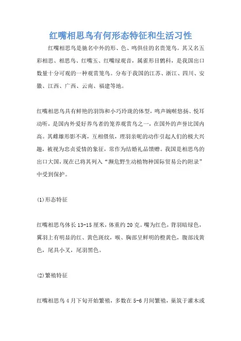 红嘴相思鸟有何形态特征和生活习性